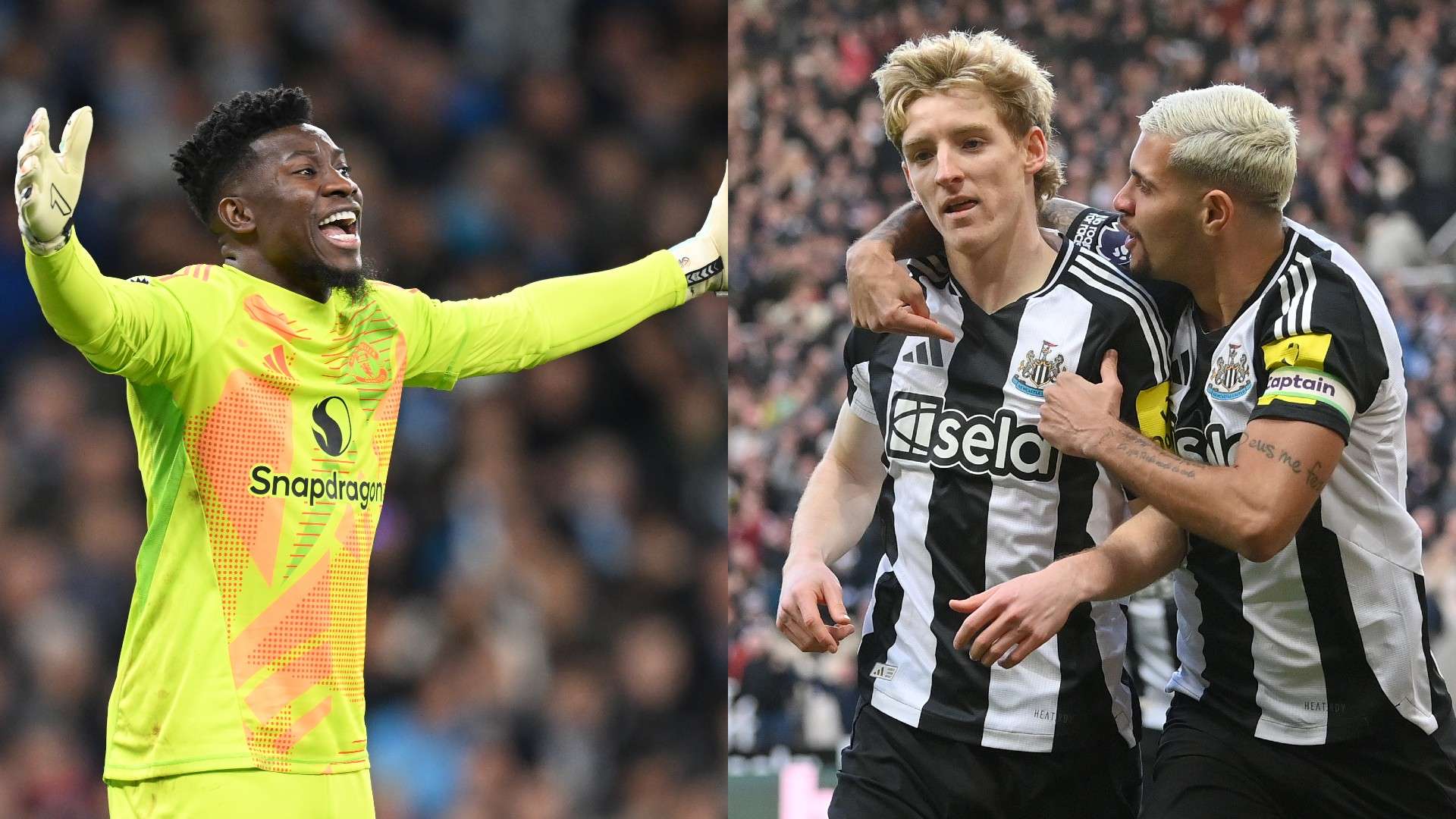 预计将在比 预计将在比