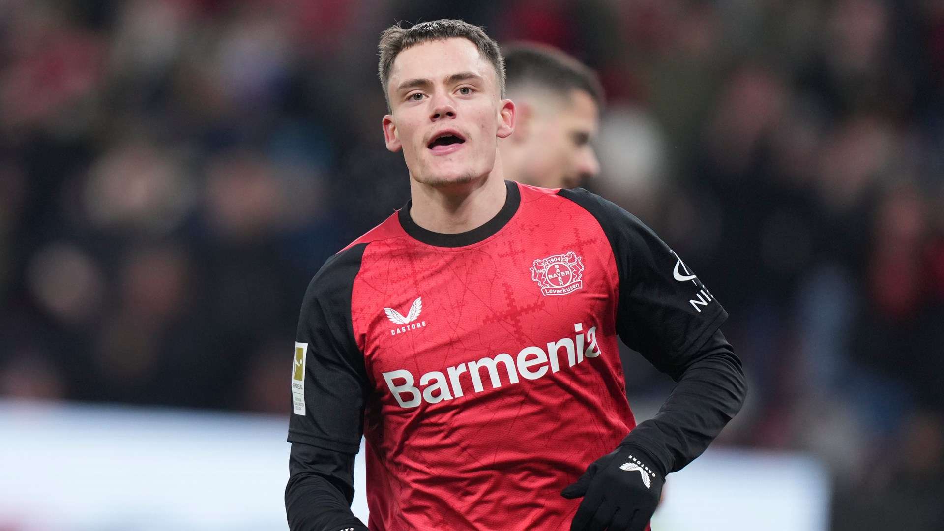 引了大量年 引了大量年